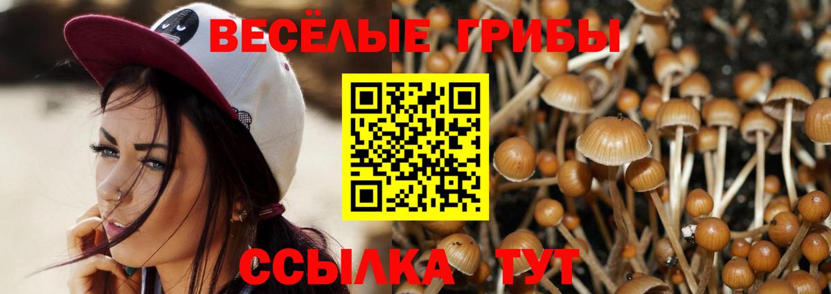 Галлюциногенные грибы GOLDEN TEACHER  Вход с VPN  Кимовск  Псилоцибиновые грибы мухоморы 